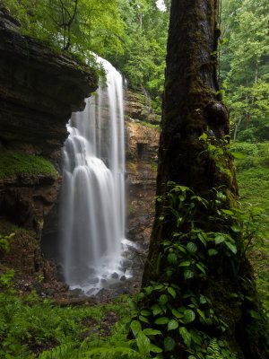 Virgin Falls and Tree P5177611 sRGB 8 bit