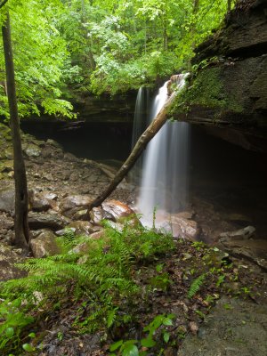 Recent imagery from Scott's Gulf and Virgin Falls of the Caney River Gorge