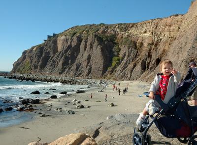 Cliff-Dweller (Dana Pt., CA)