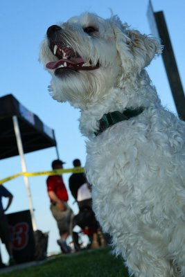 Orillia airshow 2009