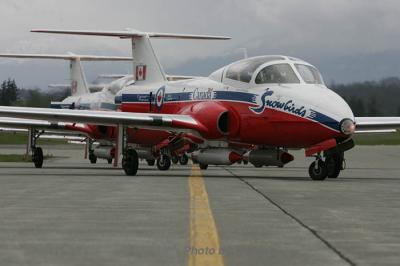 JJ2M8979.JPG