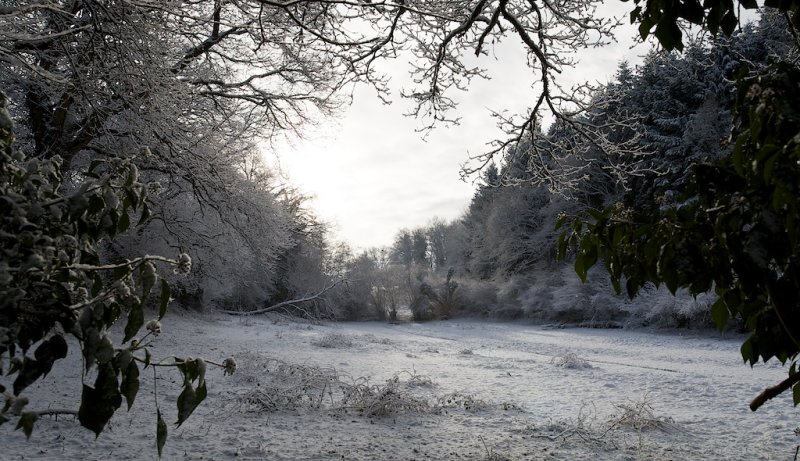 wintersnow 2.jpg