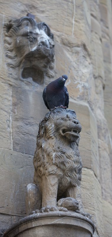 IMG_9815.jpg