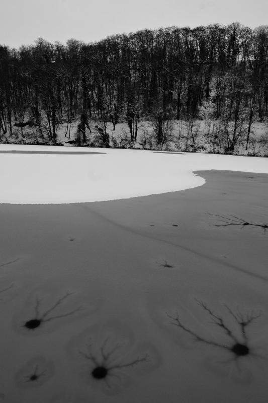 strange circle pattern on the ice