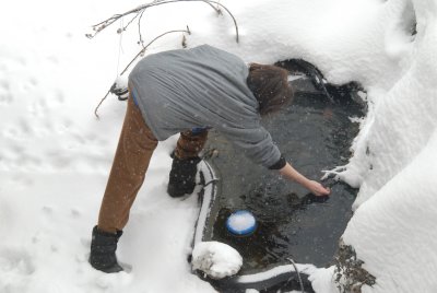 January 2, 2010 at the Pond