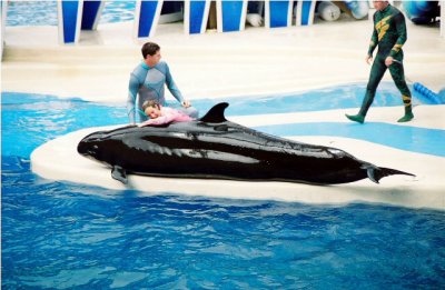 Ballena