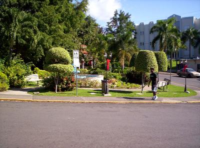 Parque Pasivo