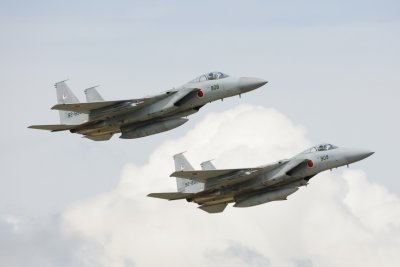 D3X_2969_425.JPG