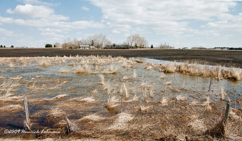 K201114-Airdrie.jpg