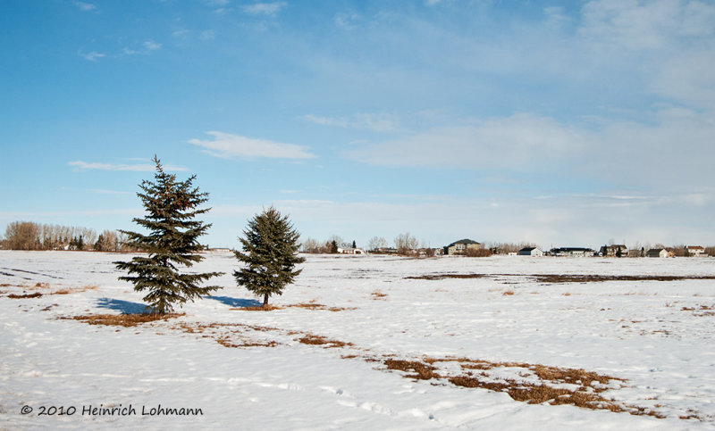 K219128-Airdrie.jpg