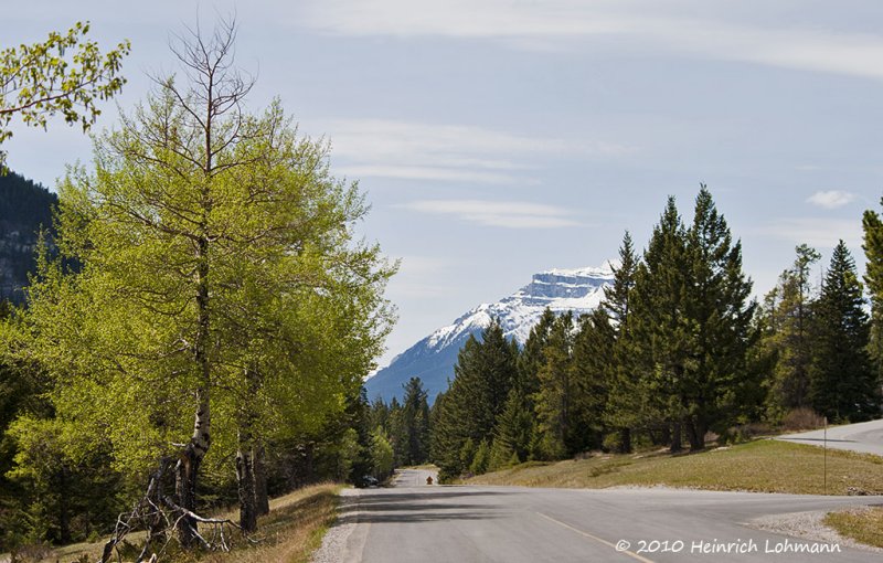 K221101-Banff.jpg