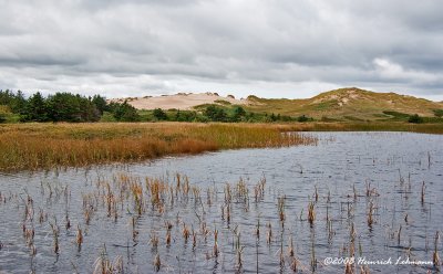 GP9853-Greenwich-PEI National Park.jpg