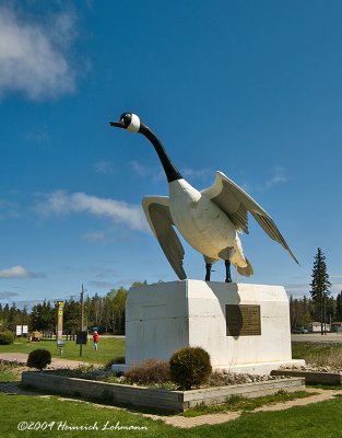 g3/05/546405/3/114515063.uM7yX6o4.jpg