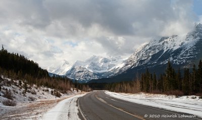 K219732-Kananaskis.jpg