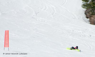 K219988-William.jpg