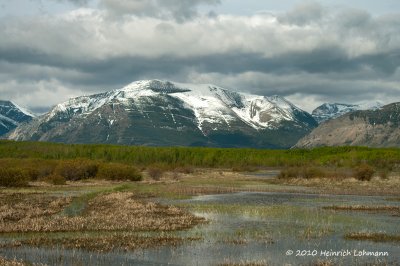 K222910-Waterton Lakes N.P.jpg