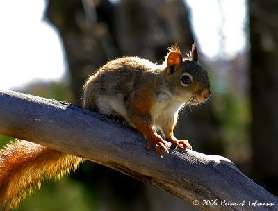 DSCN9970-web.jpg