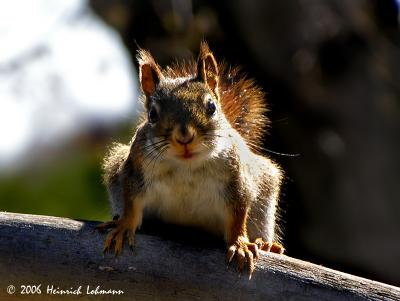 DSCN9974-web.jpg