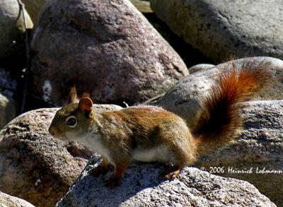 DSCN9977-web.jpg
