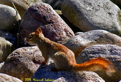 DSCN9978-web.jpg
