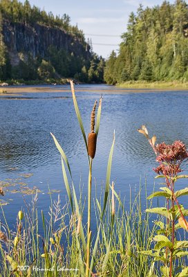 P3079-Eagle Canyon.jpg