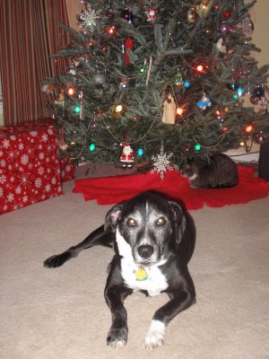Christmas 2009