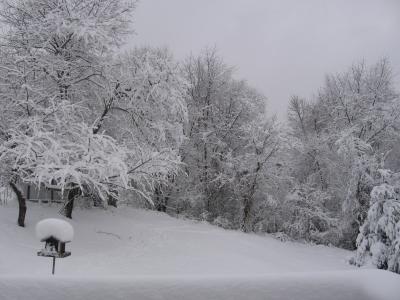 g3/05/549705/3/55990536.Oursnowybackyard21206.jpg