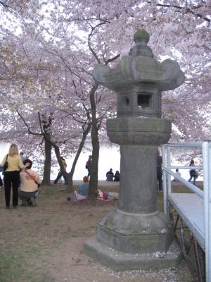 The lighting of the Japanese Lantern opens the Cherry Blossom Festival.jpg
