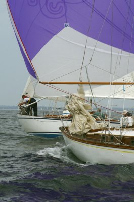 g3/05/562505/3/114743681.TBXTd9qp.jpg