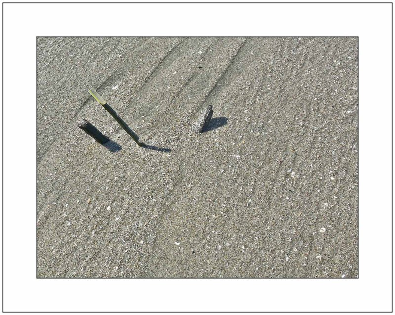 In the Sand
