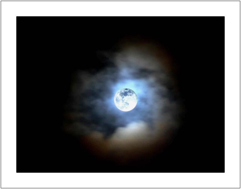 Winter Night