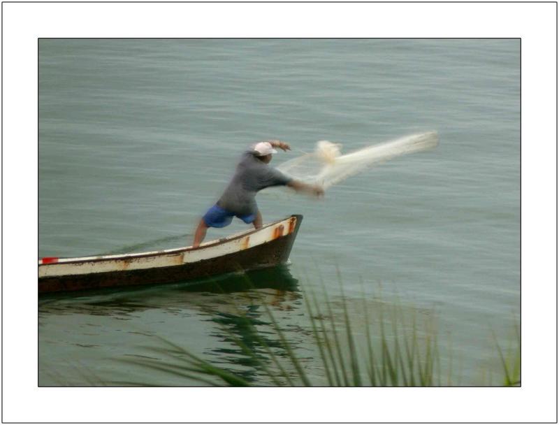 The Net is Being Cast