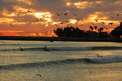 Surfer at Sunset