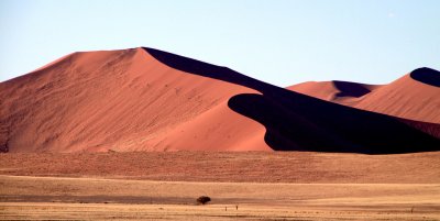 Sand Dunes Namib Desert