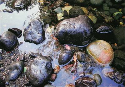 River Rocks