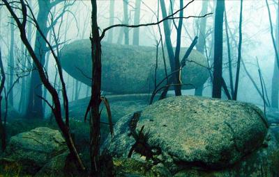 Mist on Mt Buffalo