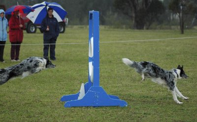 Takeoff and Landing