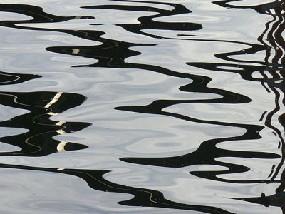 Water Reflections
