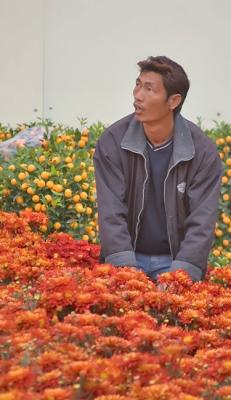 Flower vendor
