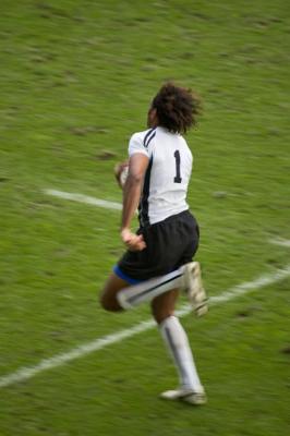 The Flying Fijian