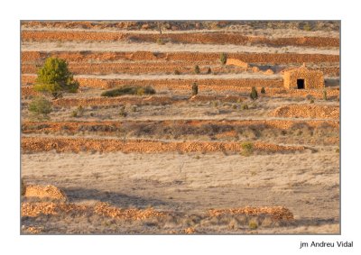 Bancals a Bel (Castell)