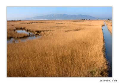 Delta de l'Ebre. Al fons el Montsià (vessant Est)
