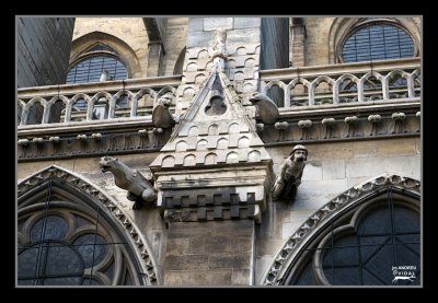 Grgoles de Notre Dame