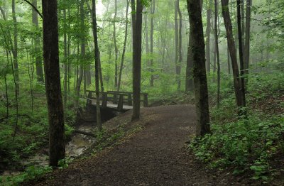 Rowe Woods Woodland Trails