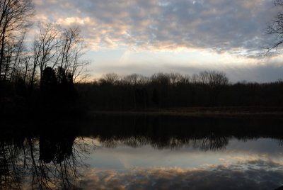 Winter Morning