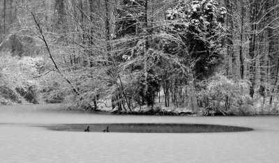 Open Water Powel Crosley Lake