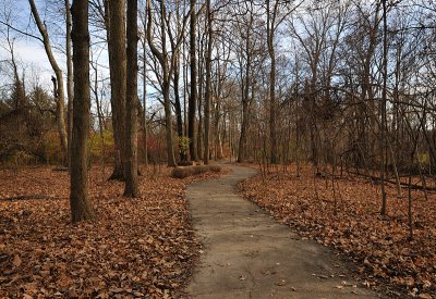 Rowe Woods Woodland Trail