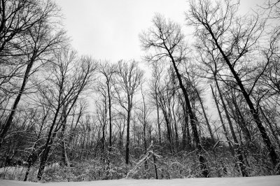 More Snow Winter 2010