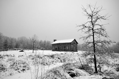 Abner Hollow Cabin Winter