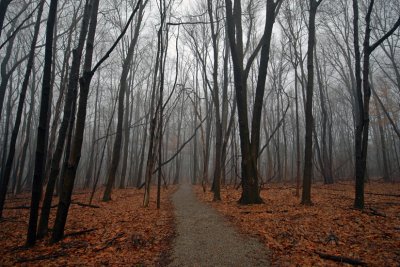 Cincinnati Nature Center - Rowe Woods